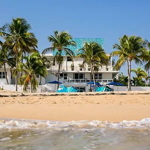 Numero Uno House 4* San Juan